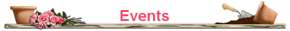 Events