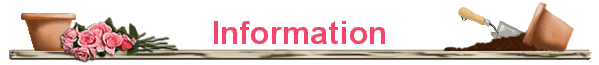 Information